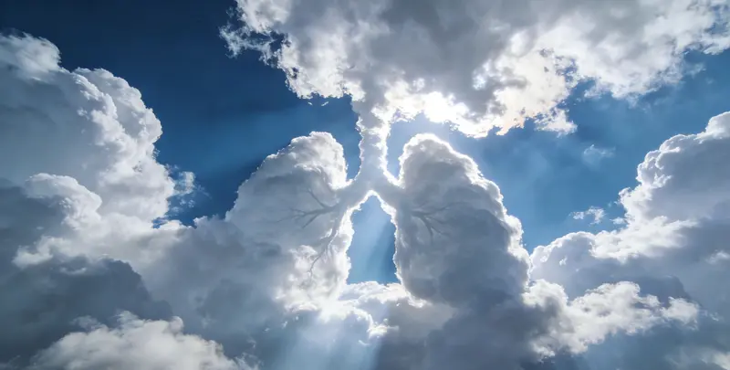 延边肺癌13基因突变检测（组织）图片1