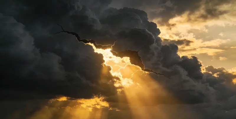 延边肺癌靶向120基因检测（组织）图片1