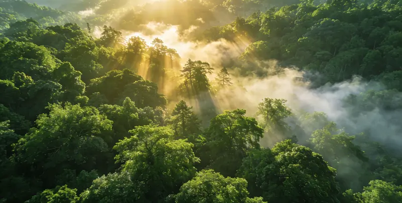 延边肺癌120基因ctDNA突变检测(血液）图片1
